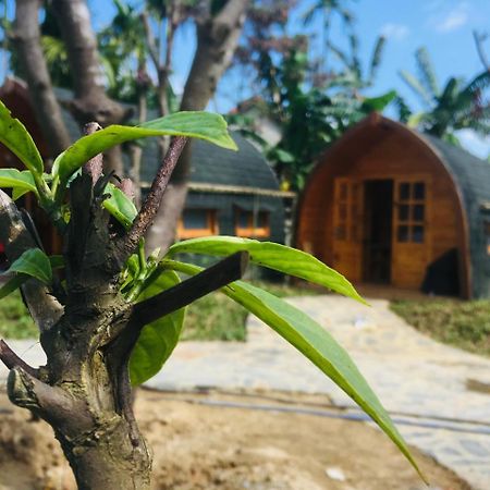 Coco-Farm Hoi An公寓 外观 照片
