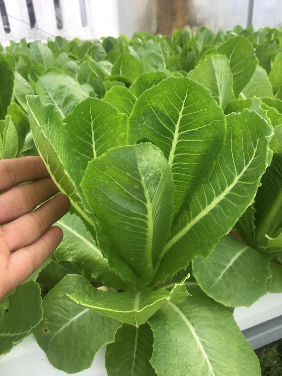Coco-Farm Hoi An公寓 外观 照片