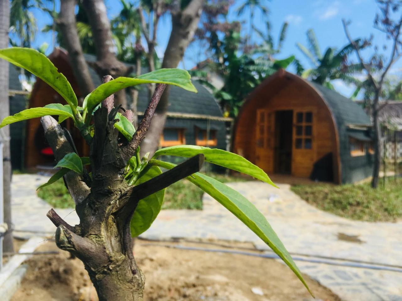 Coco-Farm Hoi An公寓 外观 照片